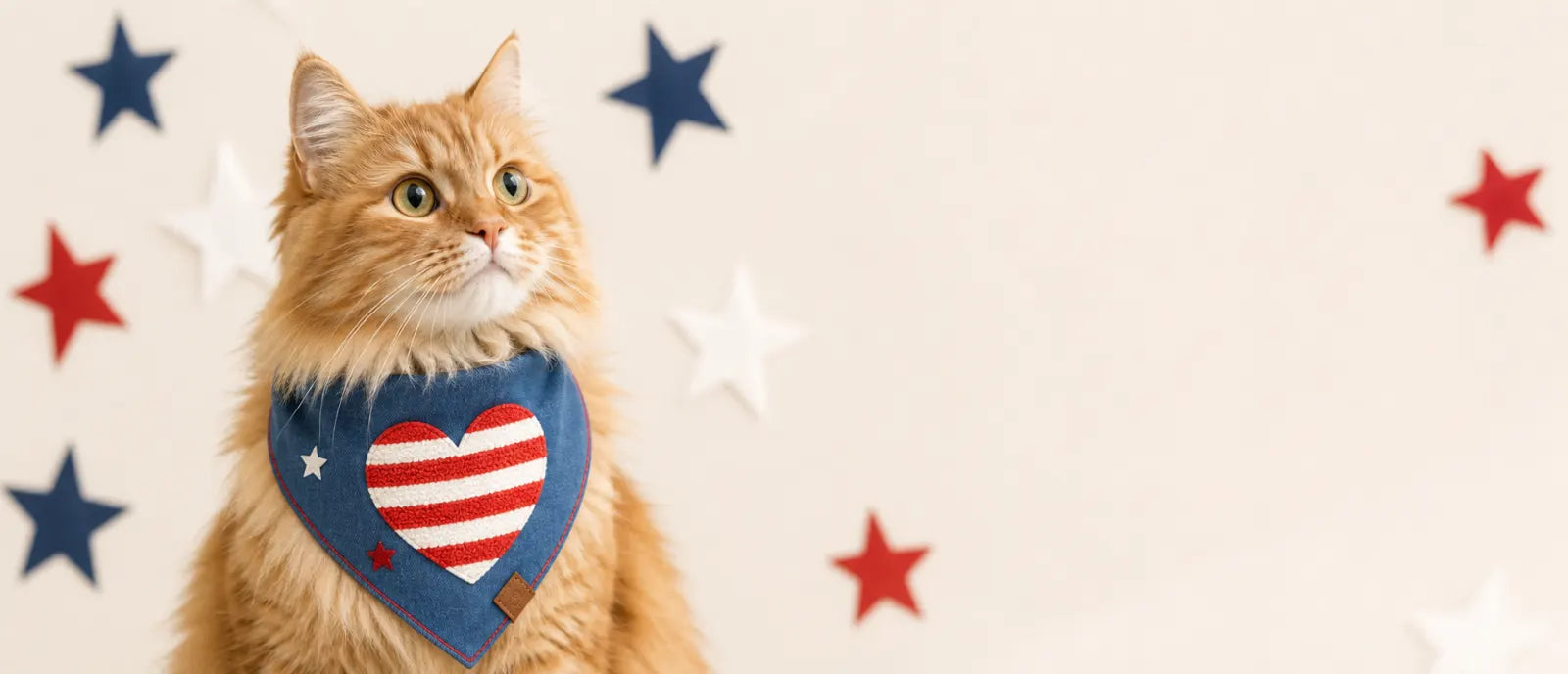 Ginger cat wearing a festive blue bandana
